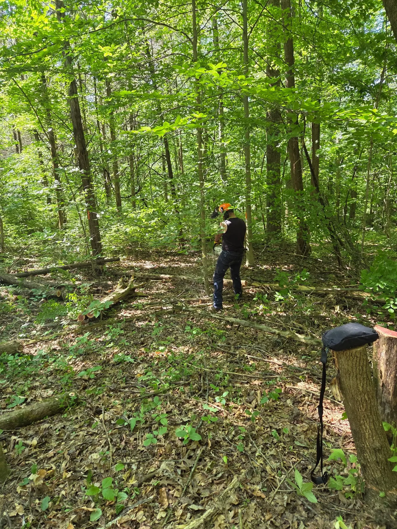 Land being cleared and developed at the rural Lost Cedars property